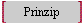Prinzip
